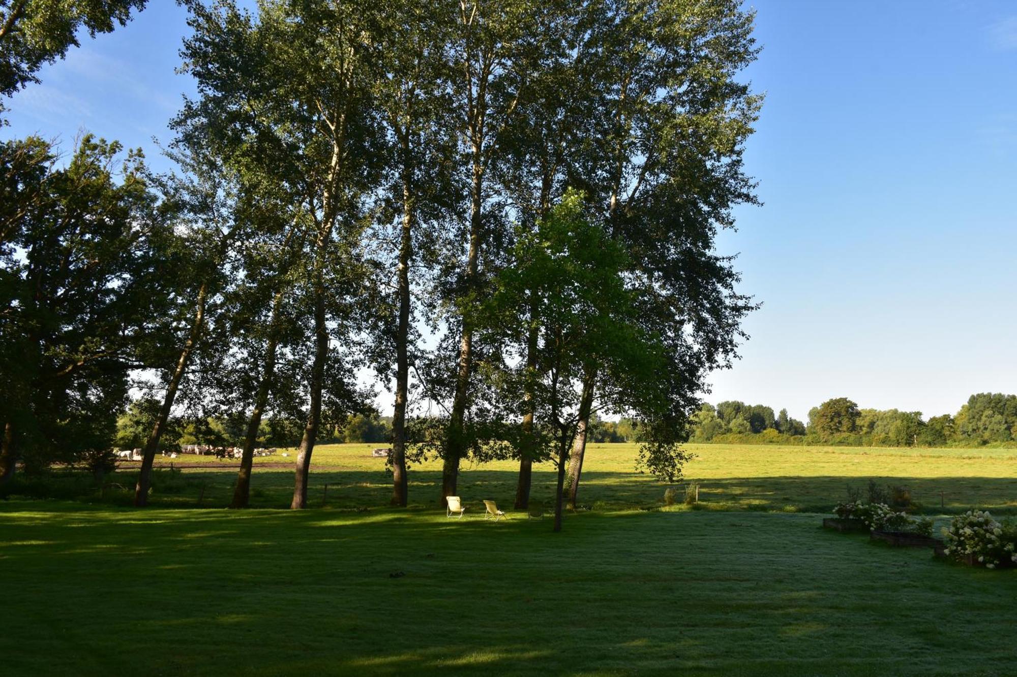 Domaine De L'Ermitage Bed & Breakfast Berry-Bouy Exterior photo